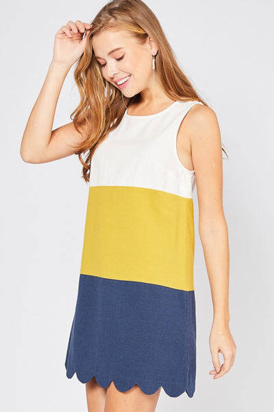 SLEEVELESS COLOR BLOCKED DRESS