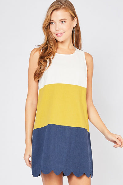 SLEEVELESS COLOR BLOCKED DRESS
