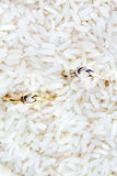 GOLD KNOT RING